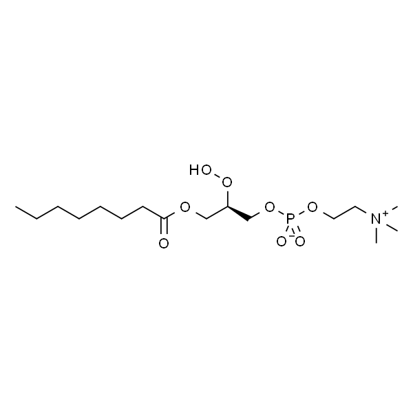 1-octanoyl-2-hydroxy-sn-glycero-3-phosphocholine