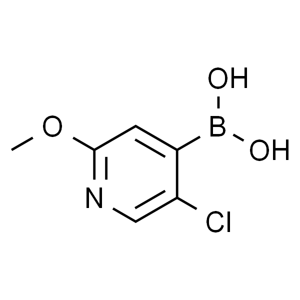 5-氯-2-甲氧基-4-吡啶硼酸