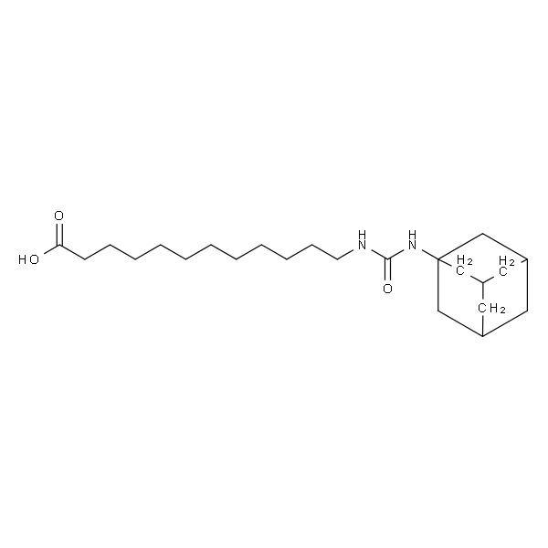 AUDA