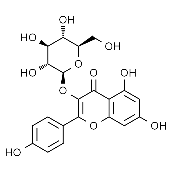 山柰酚3-葡萄糖苷
