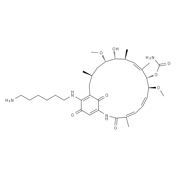 Aminohexylgeldanamycin
