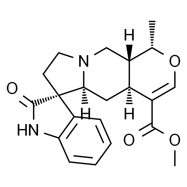 Isomitraphylline