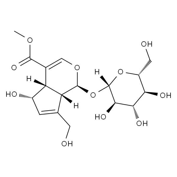 去乙酰车叶草酸甲酯