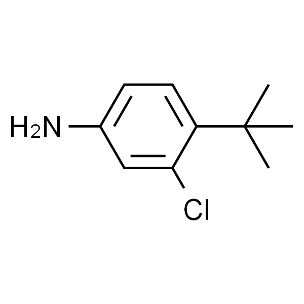 4-(叔丁基)-3-氯苯胺