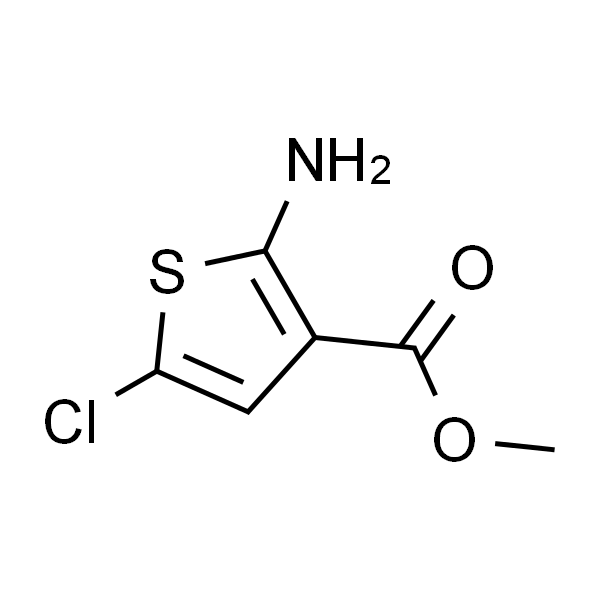 2-氨基-5-氯噻吩-3-甲酸甲酯