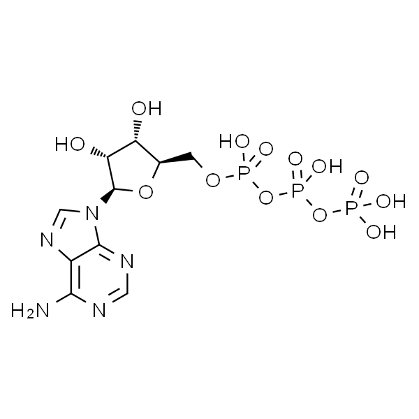 三磷酸腺苷酸