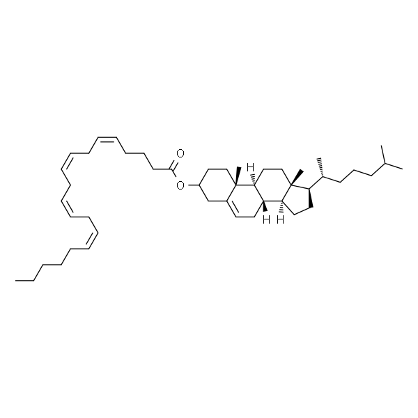 Cholesteryl Arachidonate