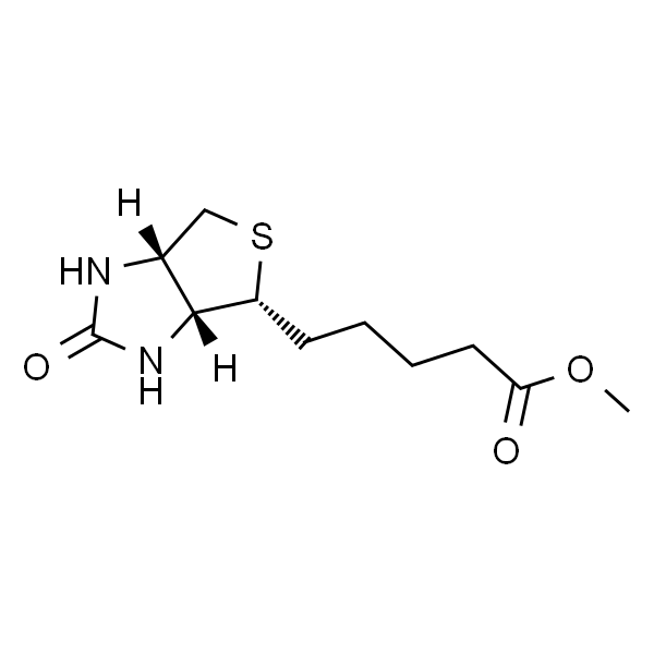 D-生物素甲酯