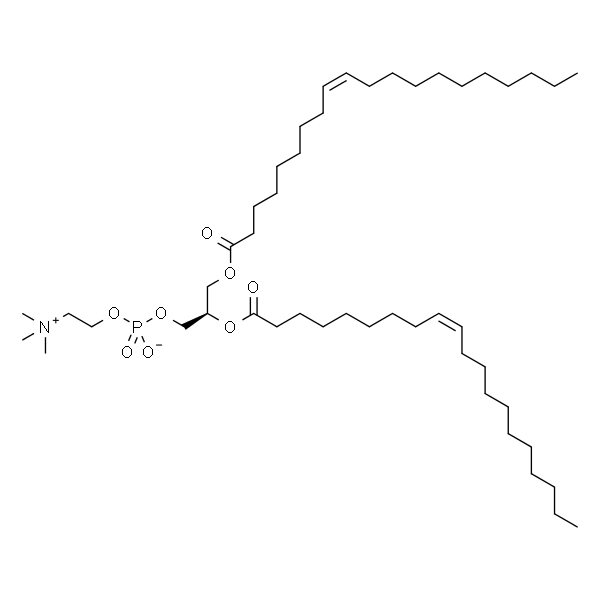 1,2-dieicosenoyl-sn-glycero-3-phosphocholine