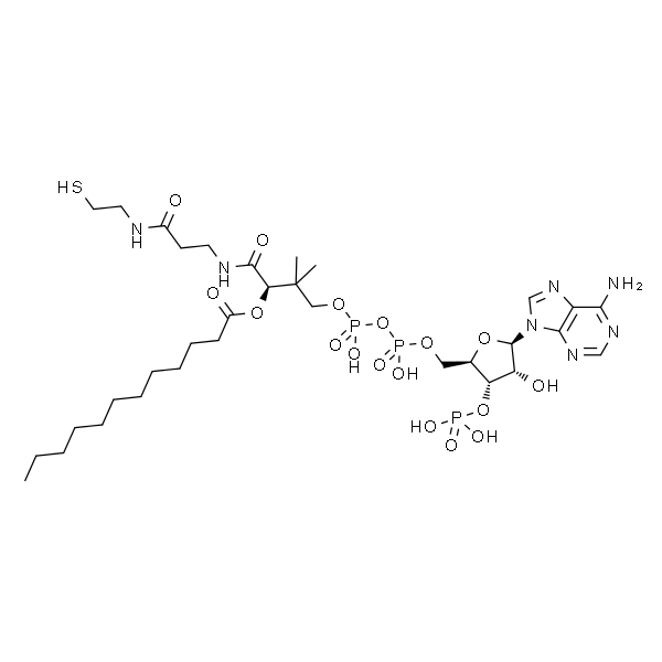 Dodecanoyl Coenzyme A free acid