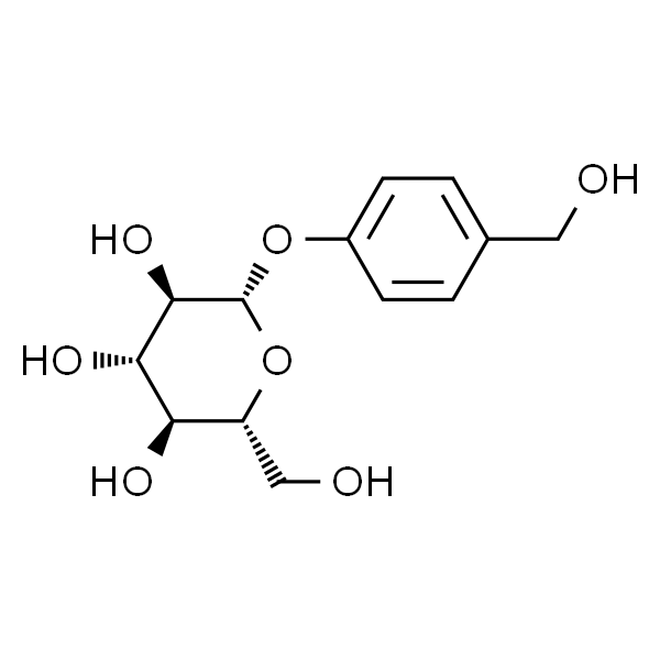 天麻粉末显微图手绘图片