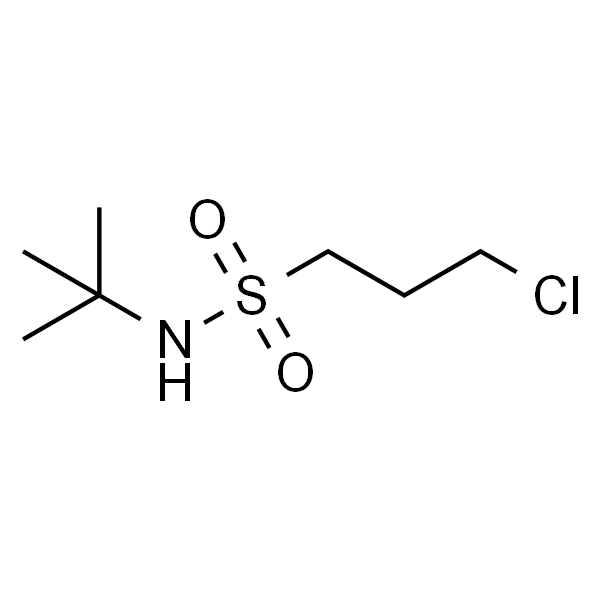 N-叔丁基-3-氯丙烷-1-磺酰胺