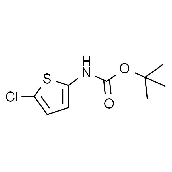 (5-氯-2-噻吩)氨基甲酸叔丁酯