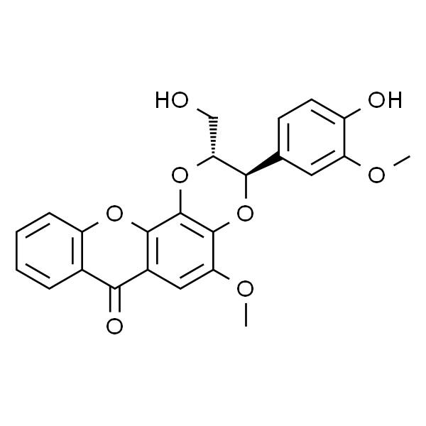 Kielcorin