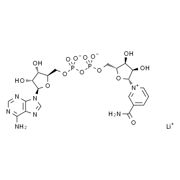 β-烟酰胺腺嘌呤二核苷酸