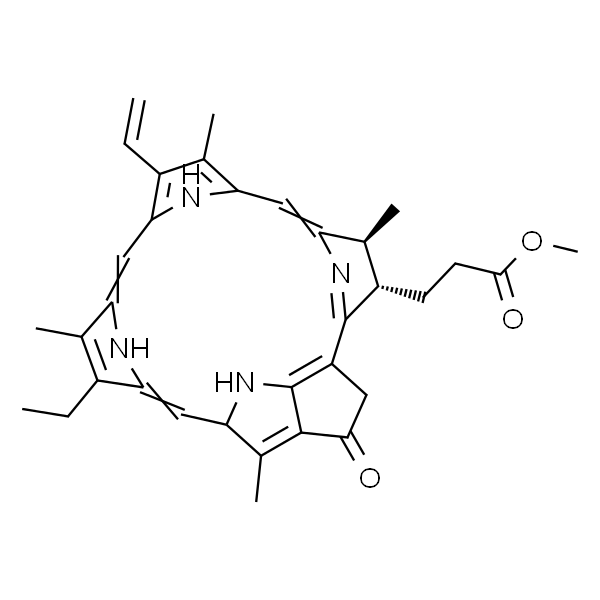 Pyropheophorbide a methyl ester 