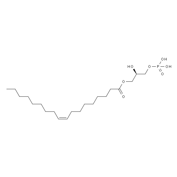 1-Oleoyl lysophosphatidic acid