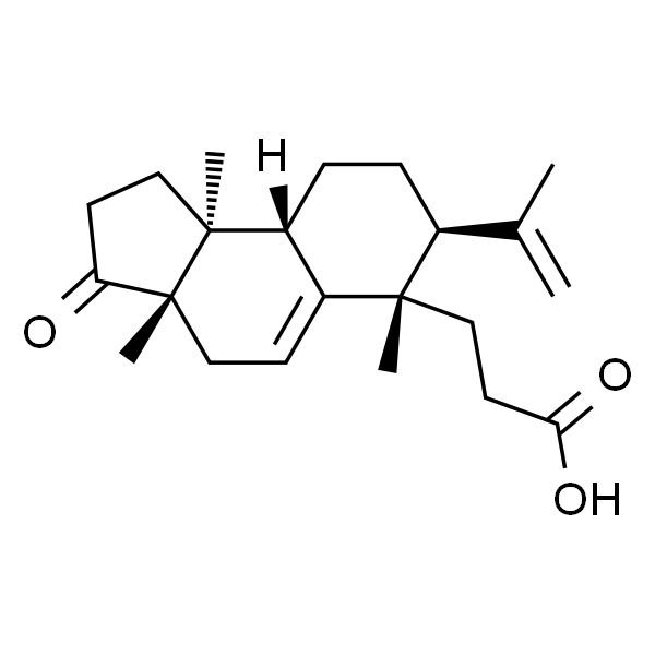 三萜酸 A