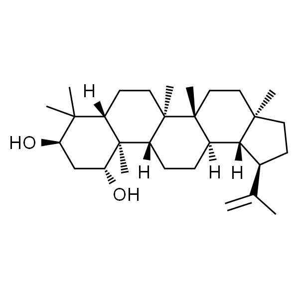 算盘子二醇