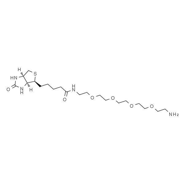 (+)-Biotin-PEG4-amine