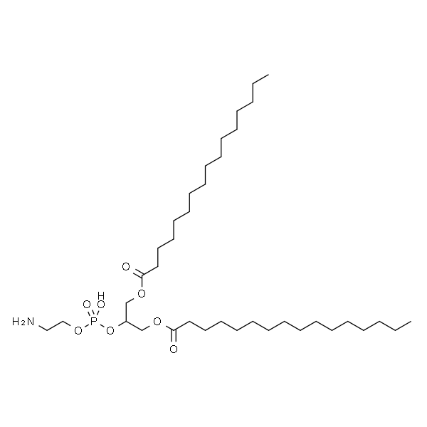 1,3-Dipalmitoyl-sn-glycero-2-PE 