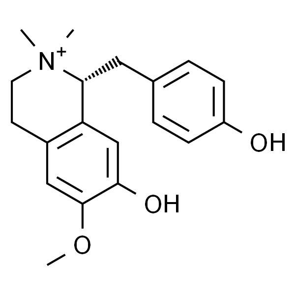 木兰箭毒碱