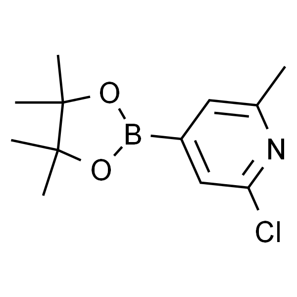 2-氯-6-甲基-4-(4,4,5,5-四甲基-1,3,2-二氧硼杂环戊烷-2-基)吡啶