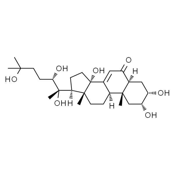 漏芦甾酮 B