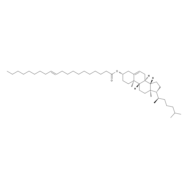 Cholesteryl 11-Eicosenoate
