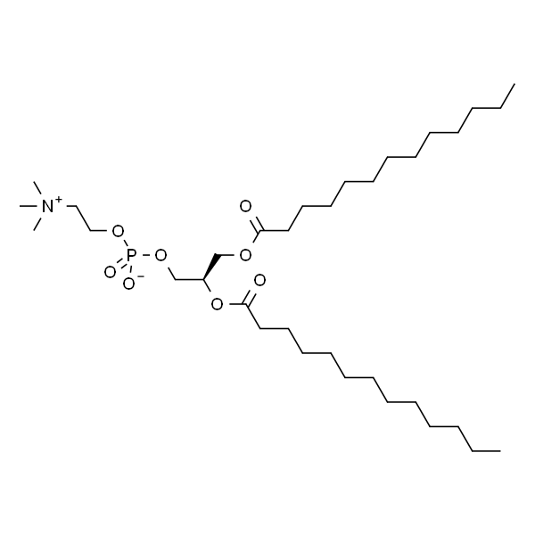 1,2-ditridecanoyl-sn-glycero-3-phosphocholine