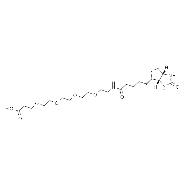 15-[D-(+)-生物素氨基]-4,7,10,13-四氧杂十五烷酸