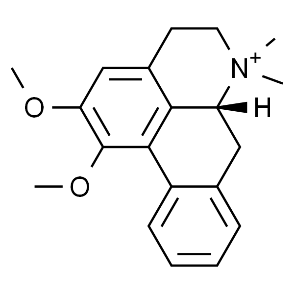 N-甲基荷叶碱
