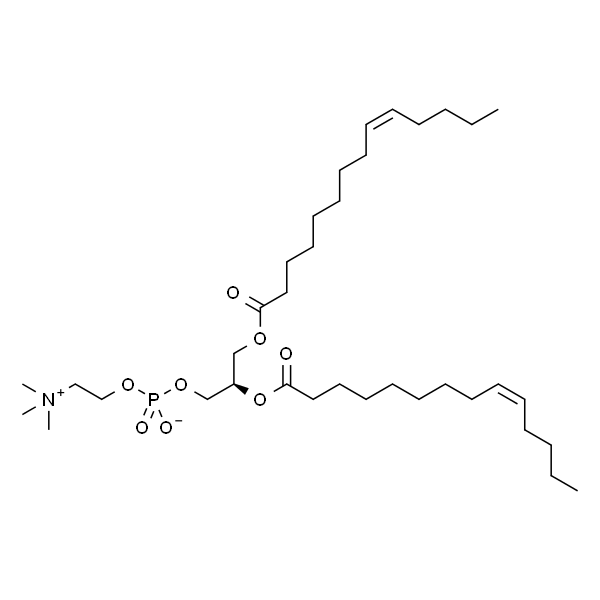 1,2-dimyristelaidoyl-sn-glycero-3-phosphocholine