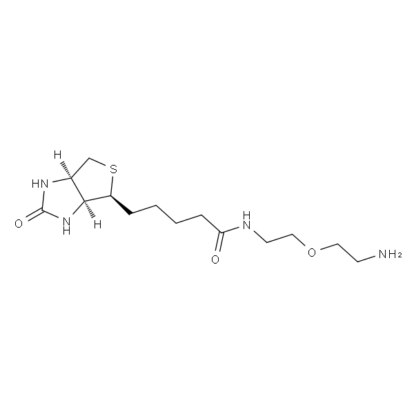 Biotin-PEG1-NH2