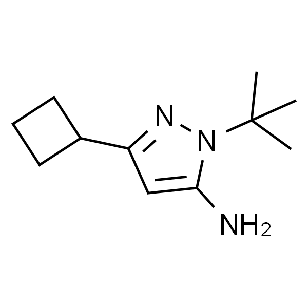 1-(叔丁基)-3-环丁基-1H-吡唑-5-胺