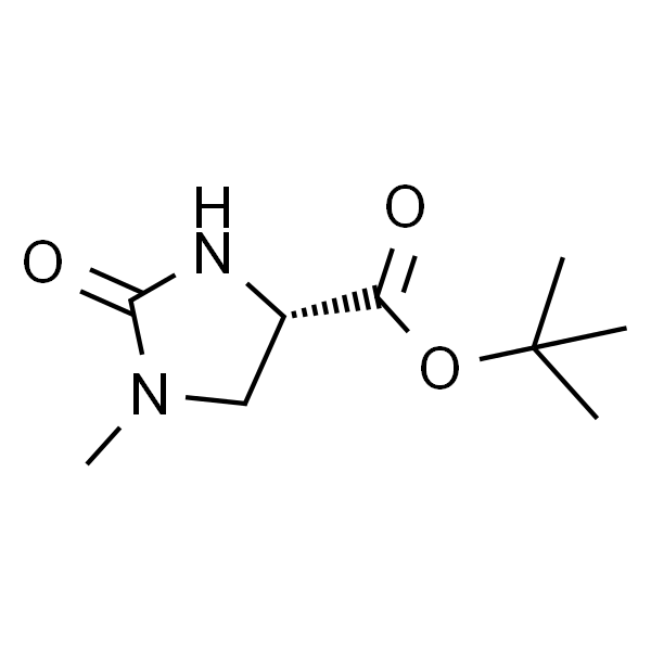 (4S)-1-甲基-2-氧代咪唑啉-4-甲酸叔丁酯