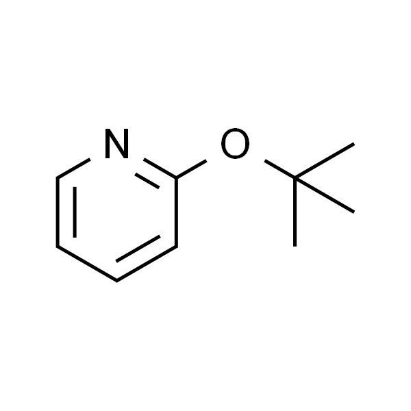 2-(叔丁氧基)吡啶