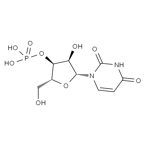 尿苷酸