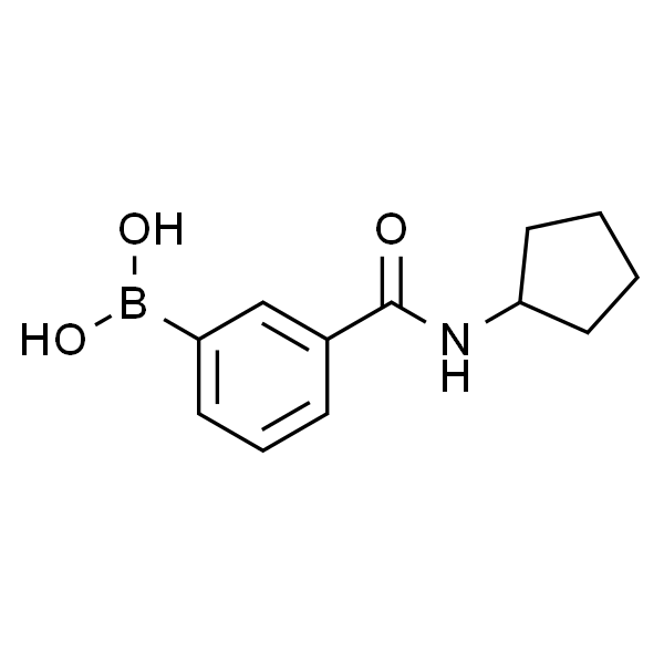 3-(环戊基甲酰氨)苯基硼酸