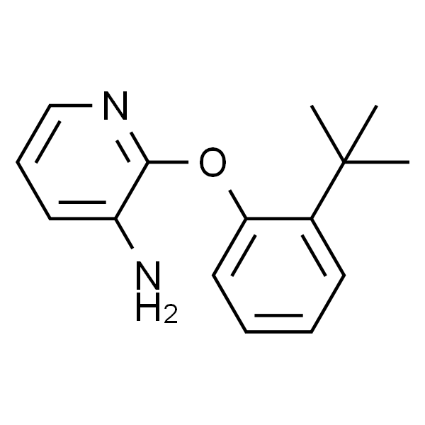 2-(2-(叔丁基)苯氧基)吡啶-3-胺