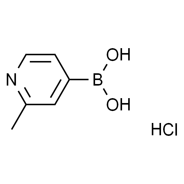 2-甲基吡啶-4-硼酸盐酸盐