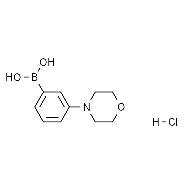 3-吗啡啉苯硼酸盐酸盐
