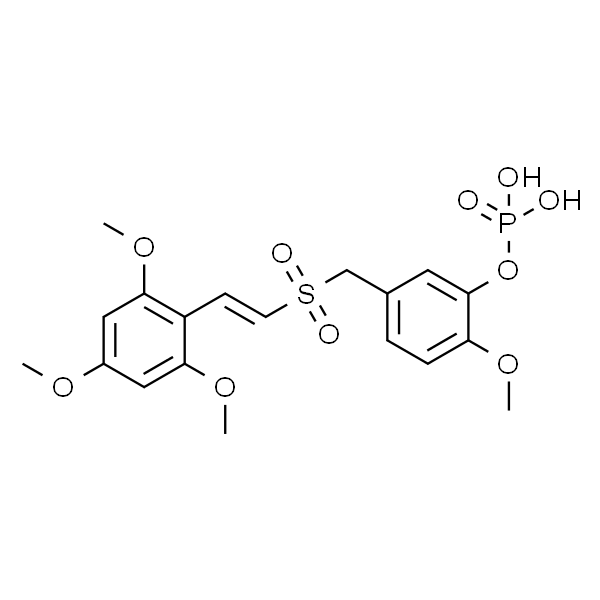 布瑞西利