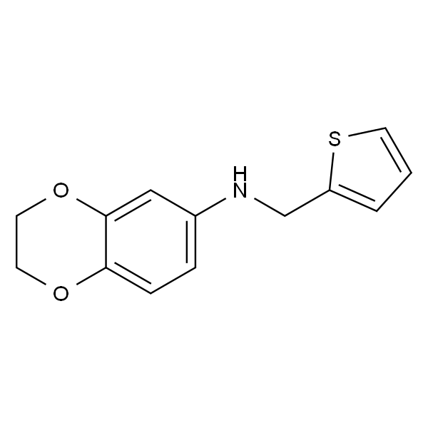 N-(噻吩-2-基甲基)-2,3-二氢-1,4-苯并二氧杂环己烷-6-胺
