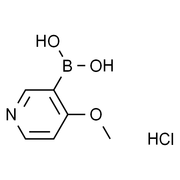 4-甲氧基吡啶-3-硼酸盐酸盐