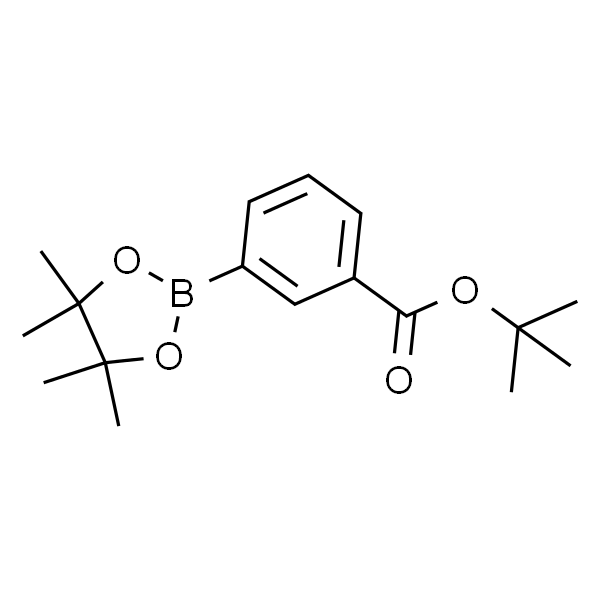 3-(4,4,5,5-四甲基-1,3,2-二氧硼戊烷-2-基)苯甲酸叔丁酯