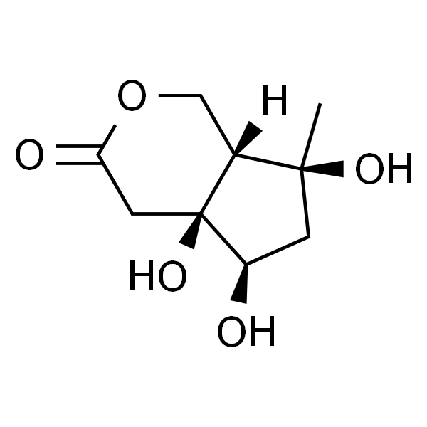 Buergerinin B