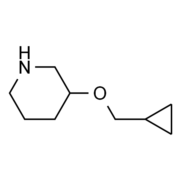 3-(环丙基甲氧基)哌啶