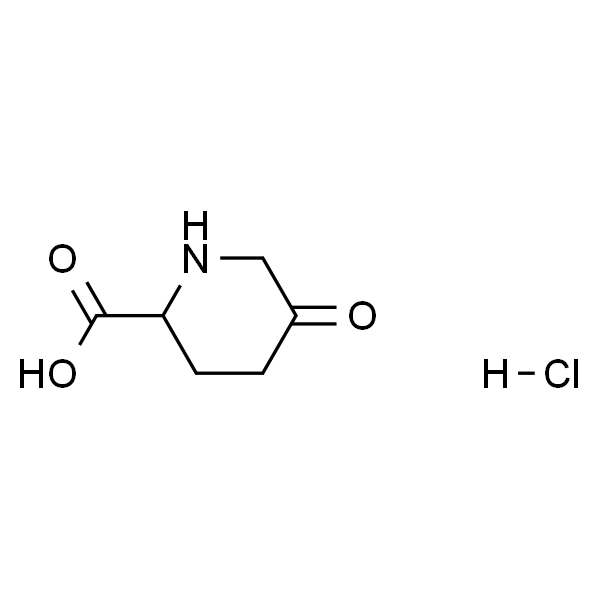 5-氧代哌啶-2-羧酸盐酸盐
