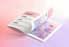 产品目录及单页